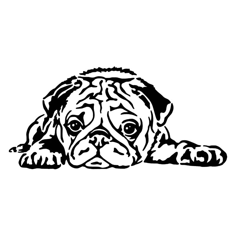 Mops liegend