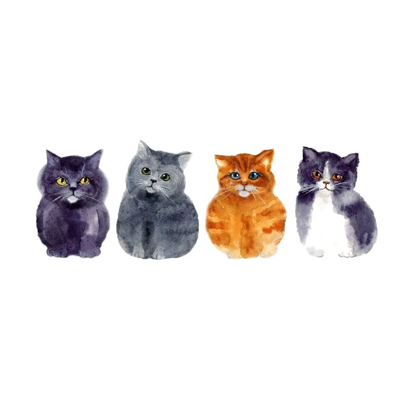 4 Katzen
