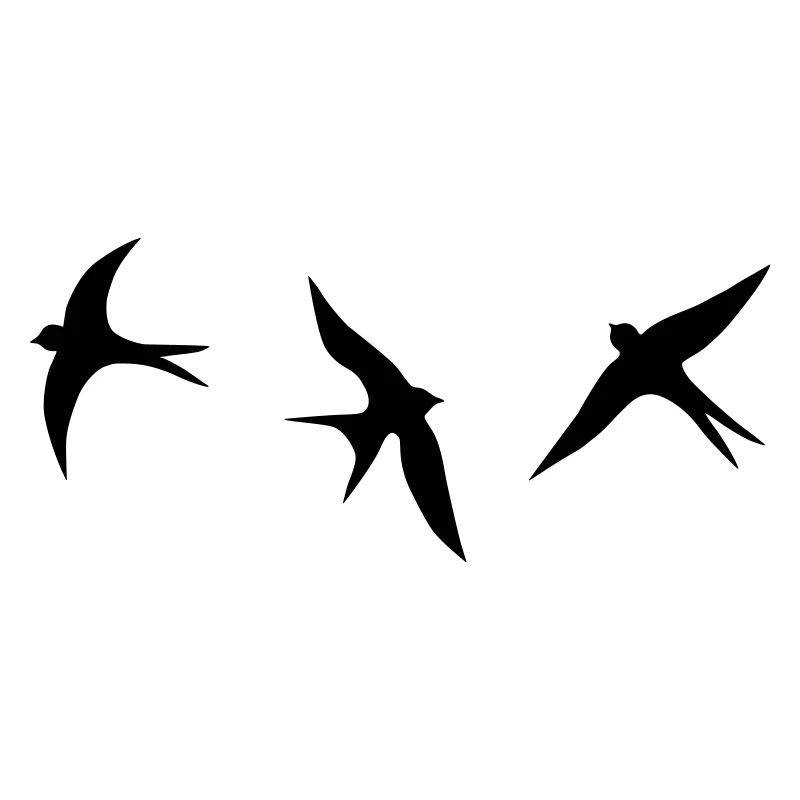 swallow