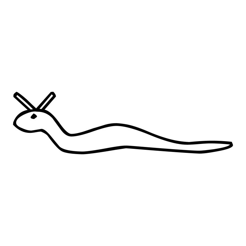 Wurm