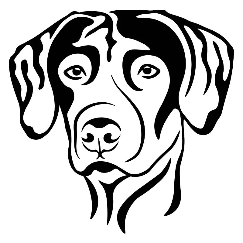 RhodesianRidgeback