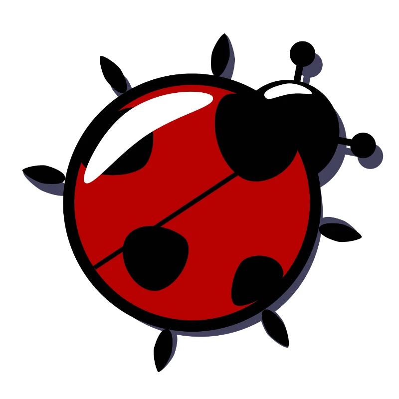 ladybug
