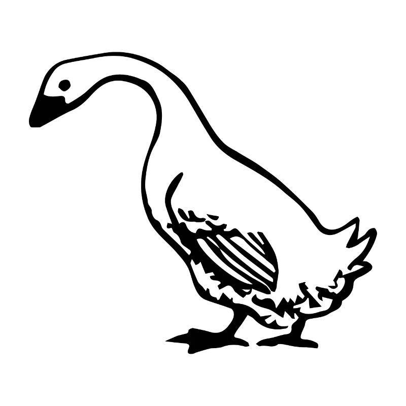 Gans