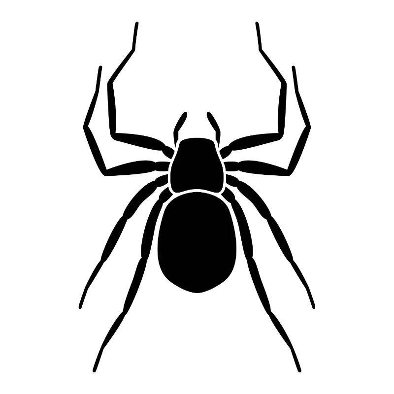 Spinne