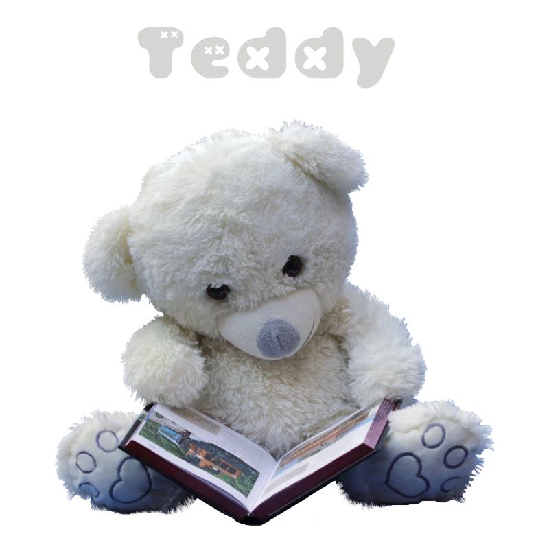Teddy