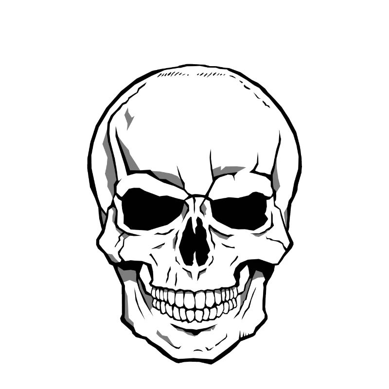Skull