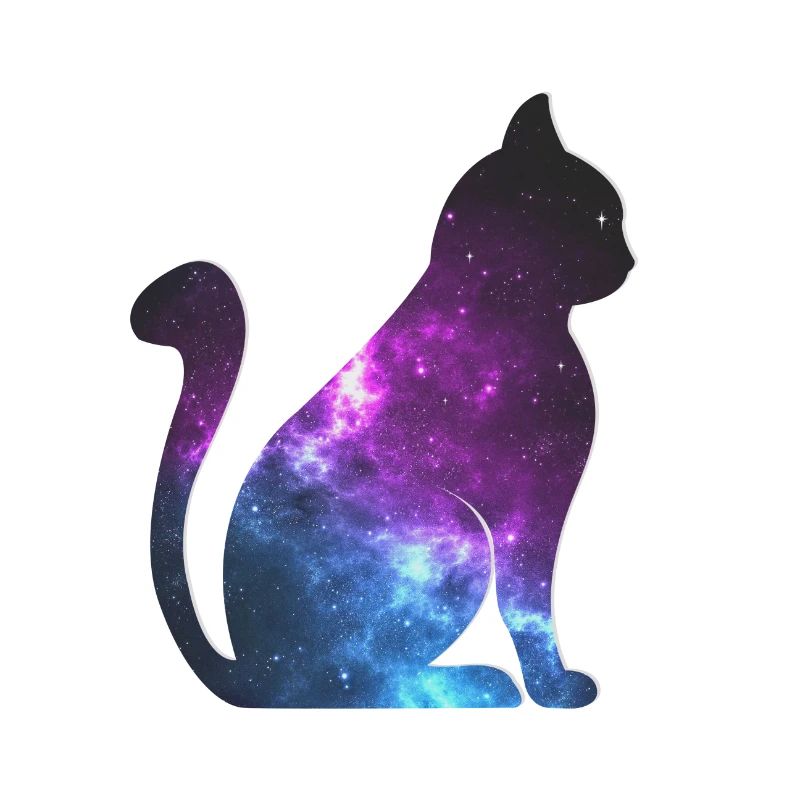 Galaxy Cat Space Gift