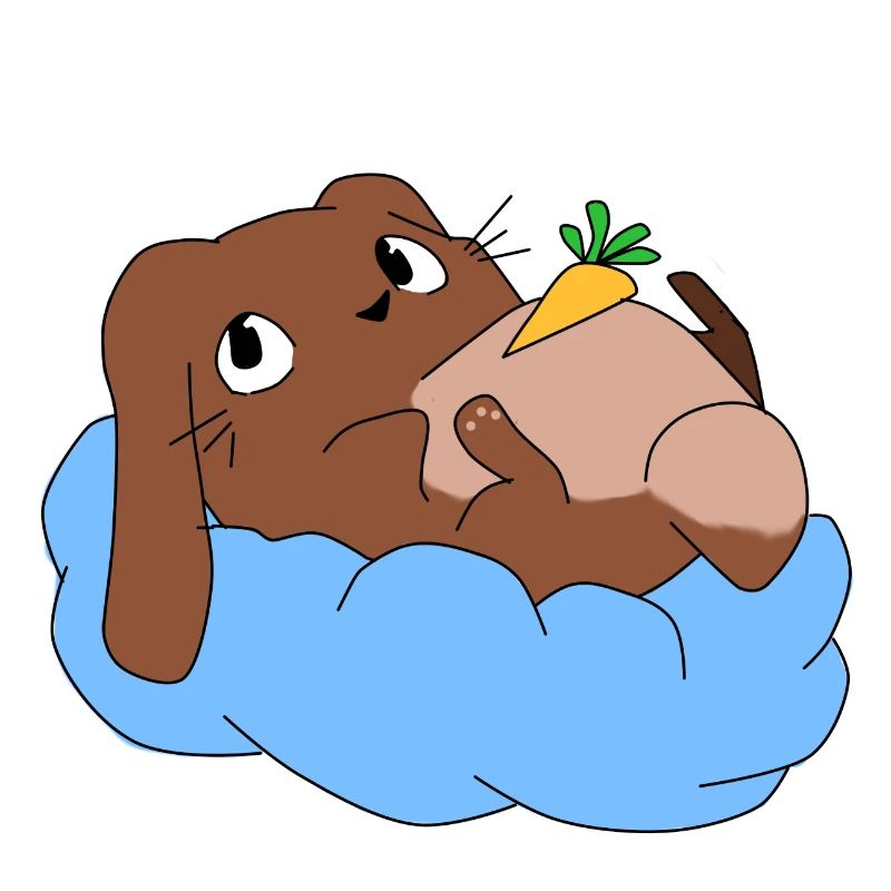 Hasi on cloud