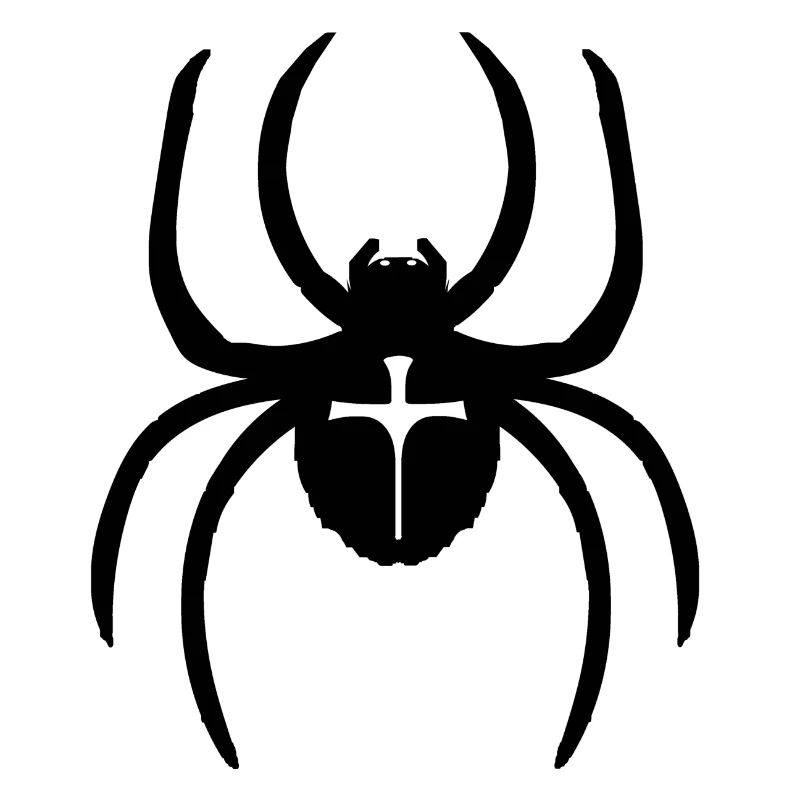 Spinne