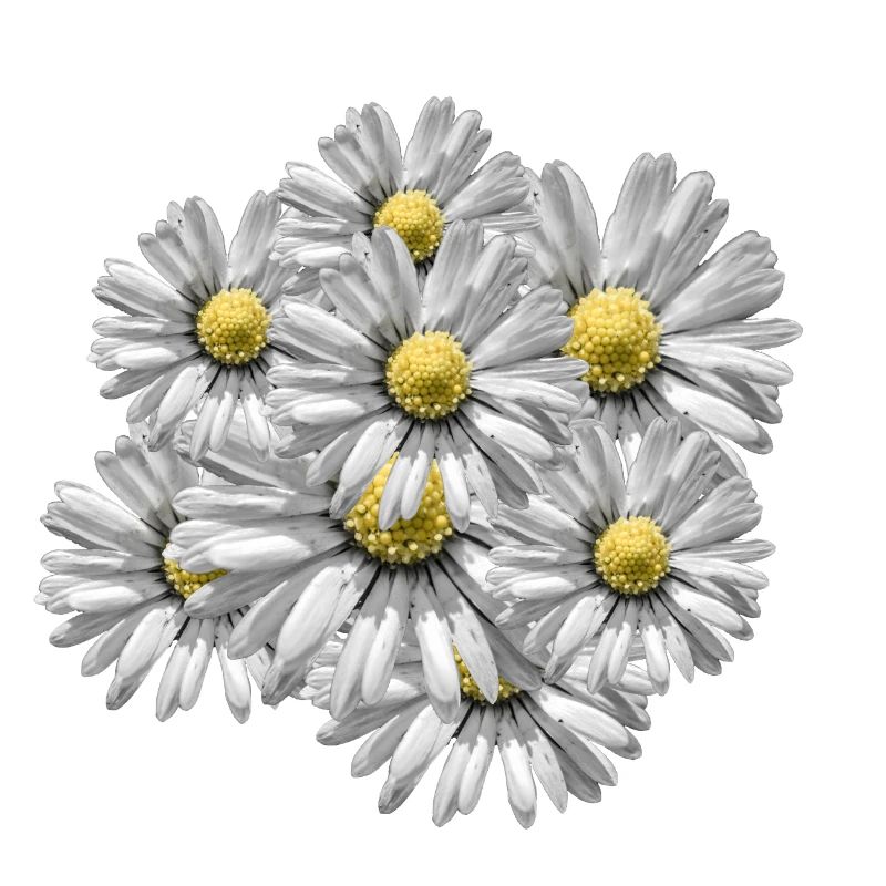 Blumenstrauß