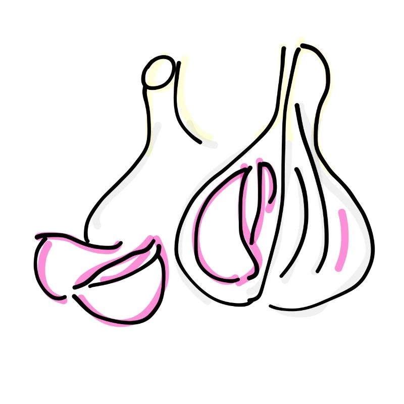 Knoblauch