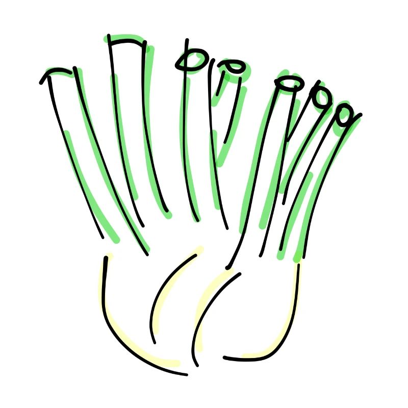 Fenchel