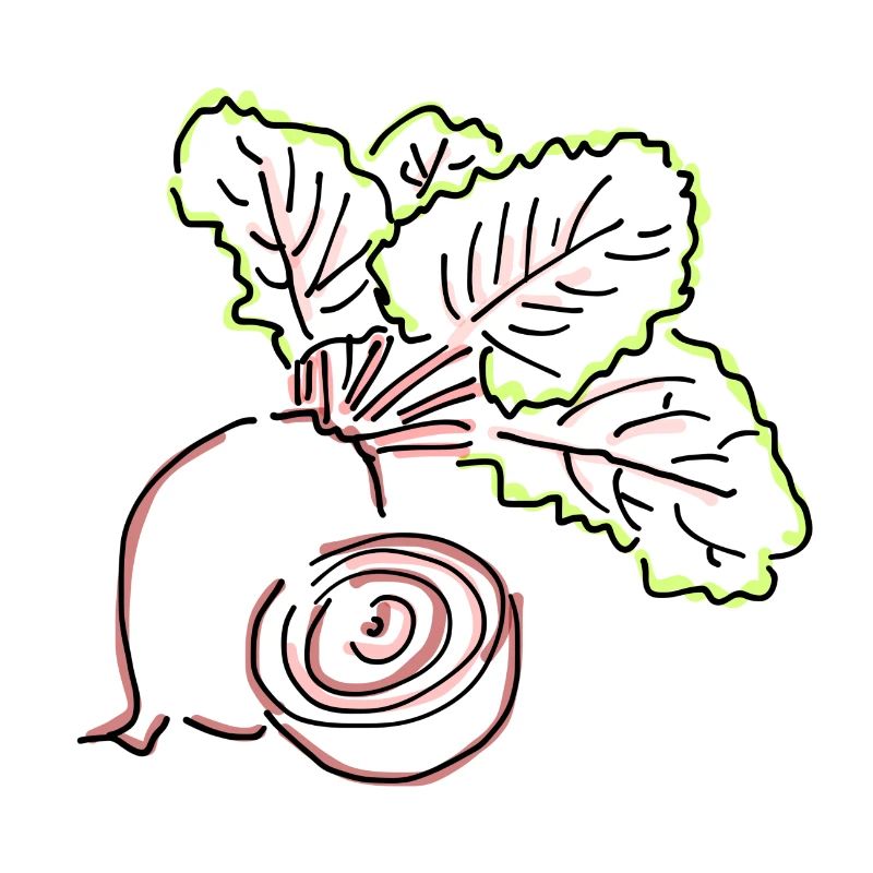 beetroot