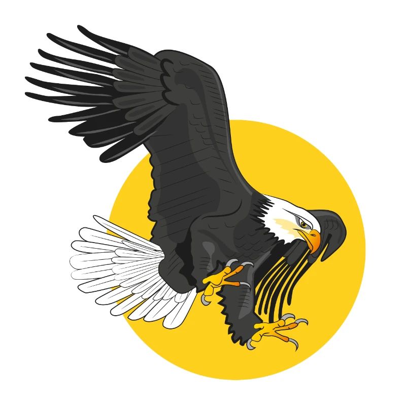 american eagle sun