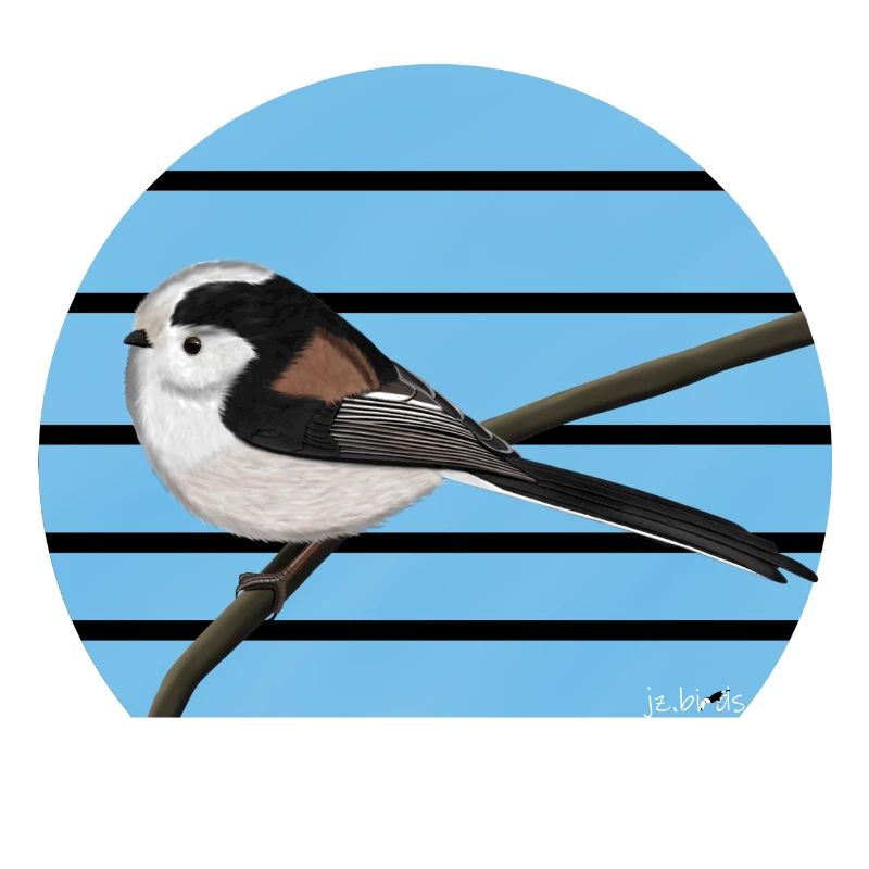 conception d'oiseaux à longue queue