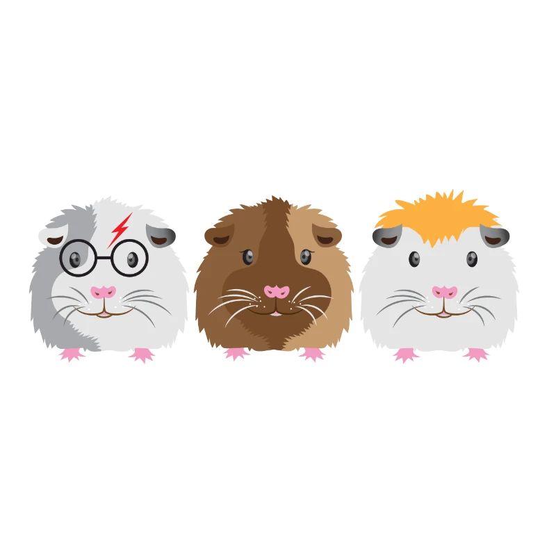 Trois petits cochons d'Inde