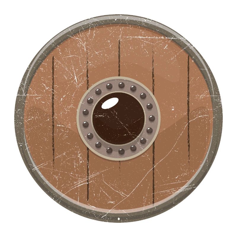 Idée cadeau Nowegian Viking Shield Vikings