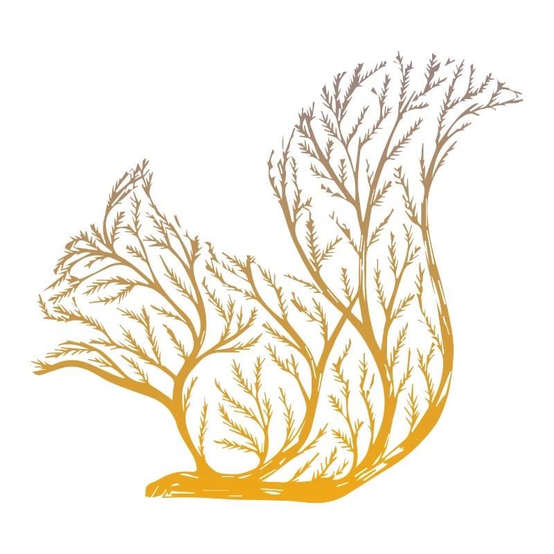 Squirrel from a tree