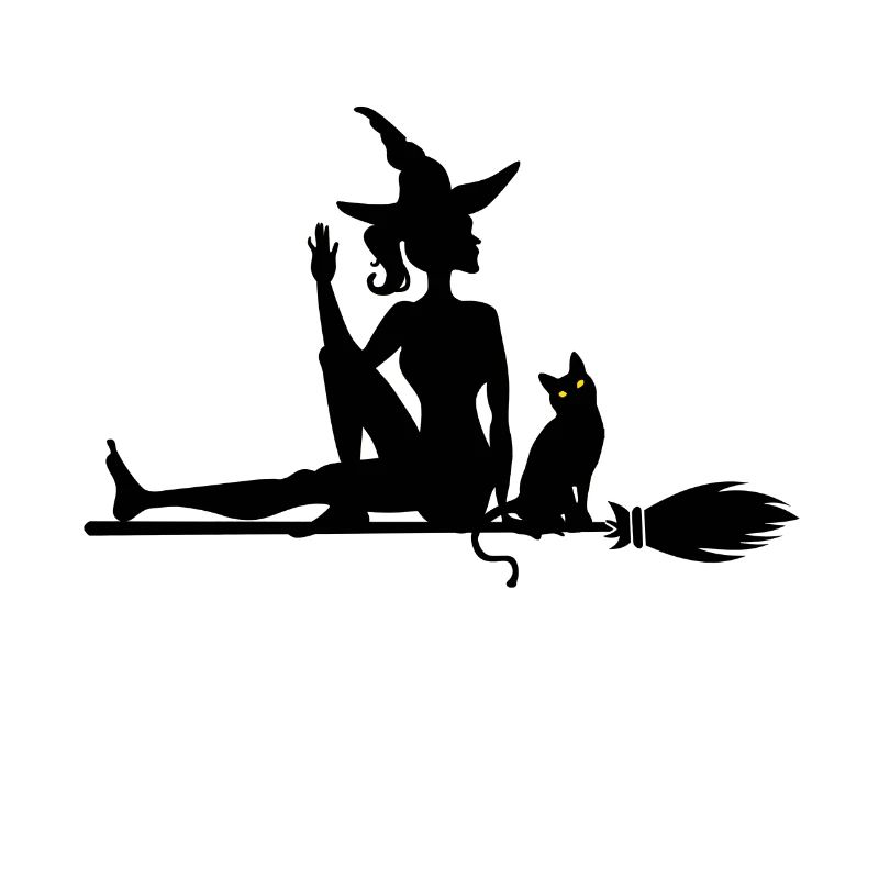 Witch with cat on witch's broom
