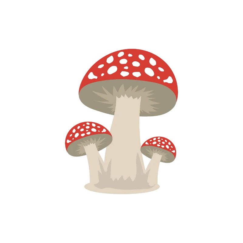 Pilz Glückspilz Wald Geschenkidee