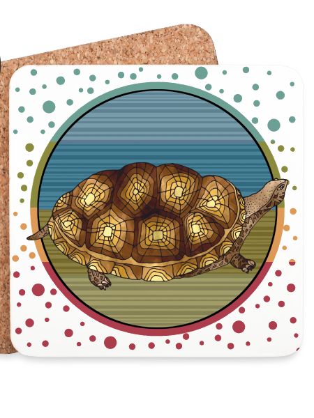 Tortoise