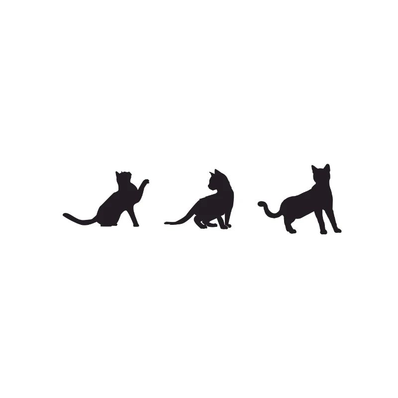 3 katzen
