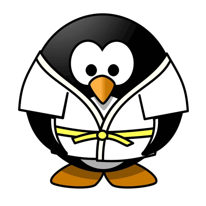 Judo Pinguin