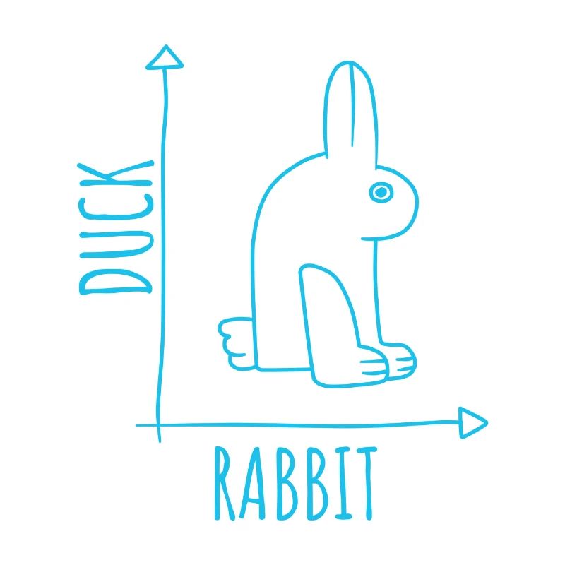 Deception Duck Optical Effect Wittgenstein