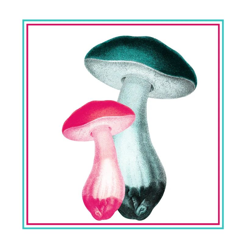 Champignons