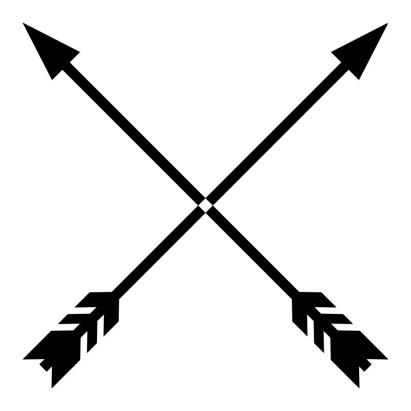 Crossed Arrows With Frame Vector