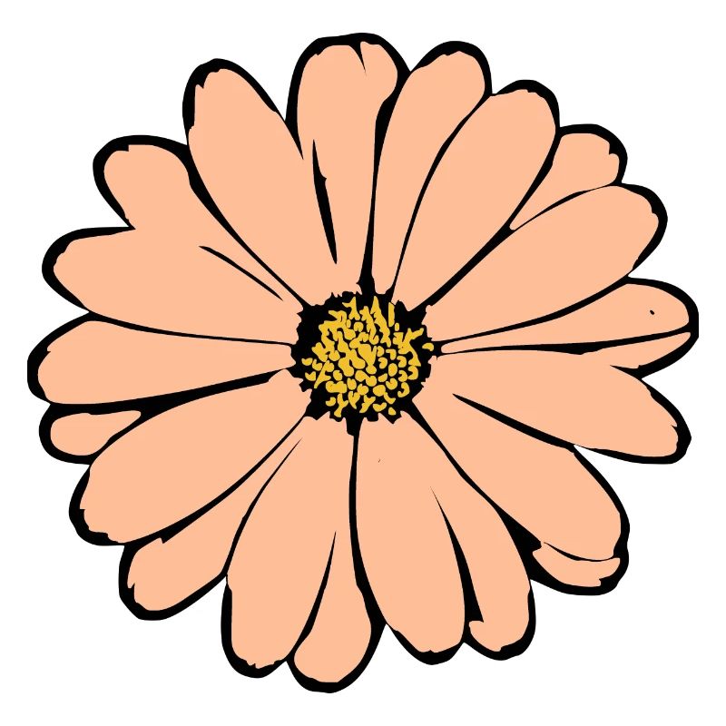 Fleur Pastel Fleurs Fleurs Pastel