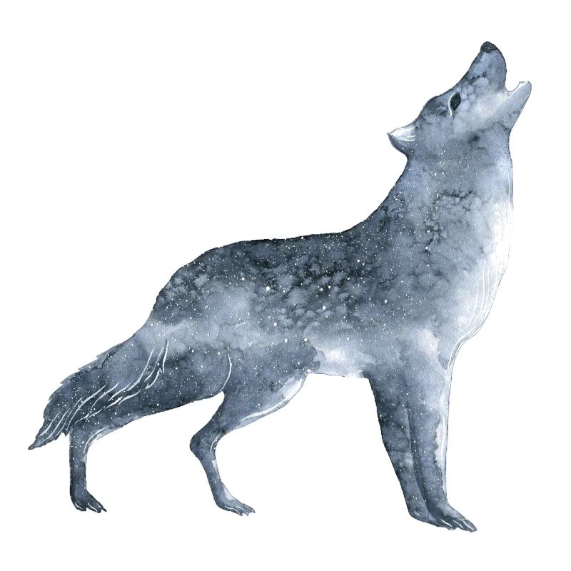 Heulender Wolf im Mondschein