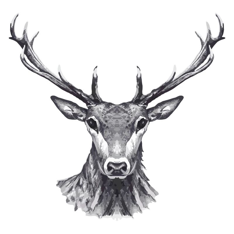 Hirsch