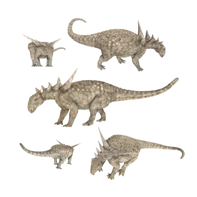Sauropelta dinosaur