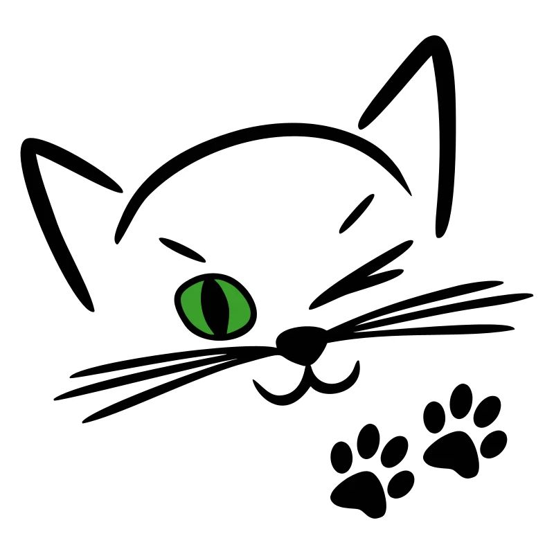 chat mignon, clin d'oeil