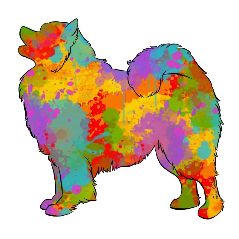 Samojeden Multicolor