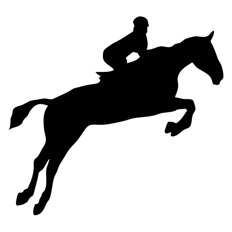 equitation cavalier obstacle cheval saut