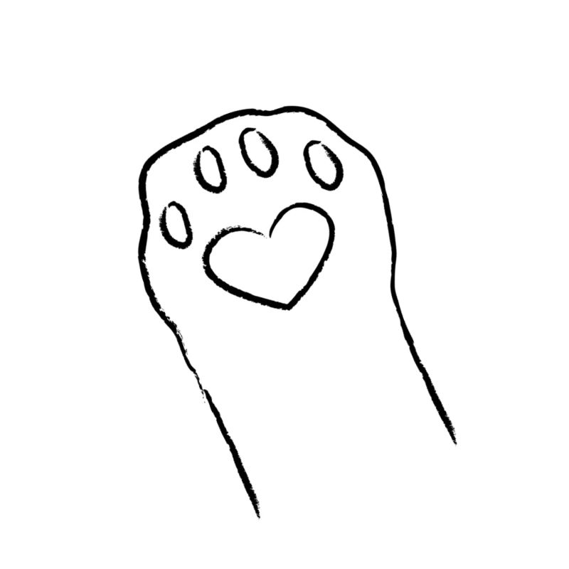 Patte de chat