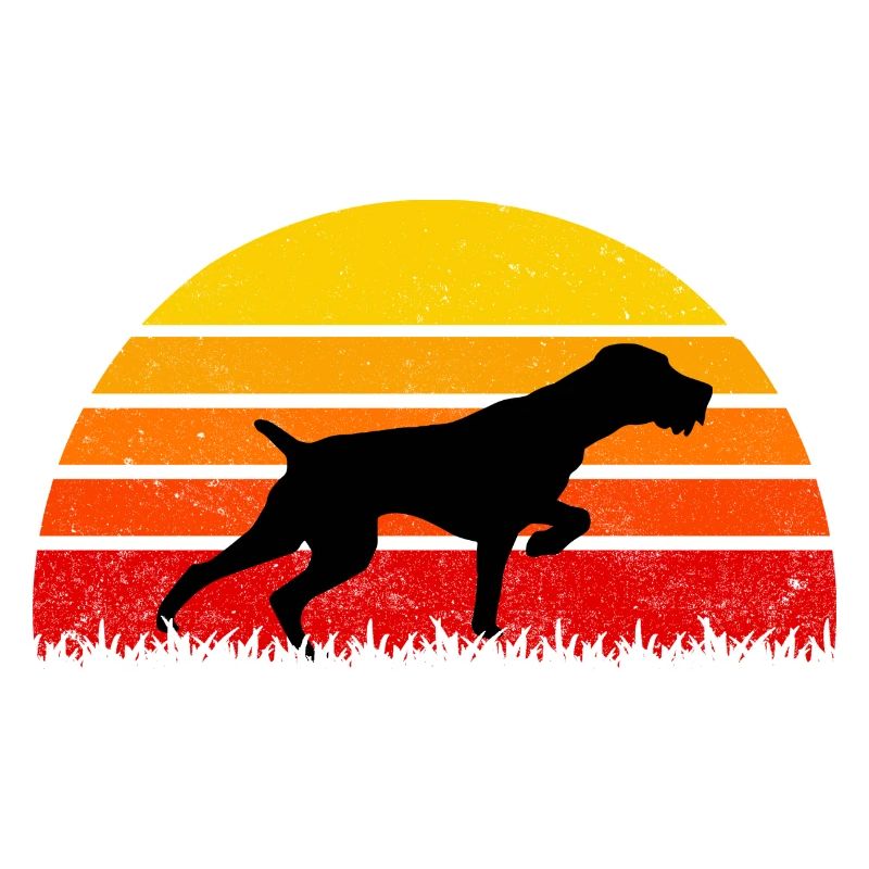 Drahtharr Dog Sunset Dogs