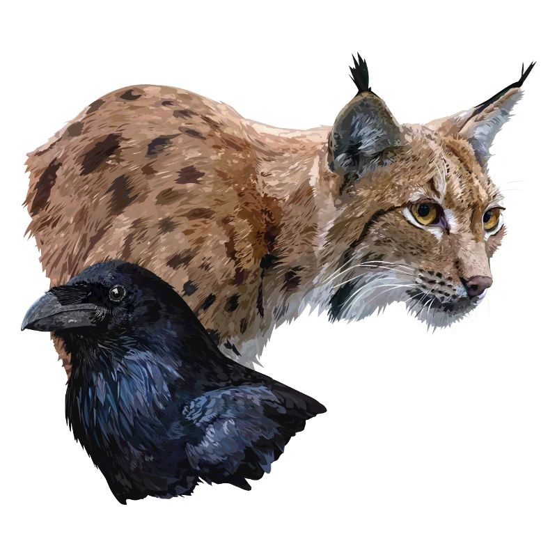 Luchs und Rabe