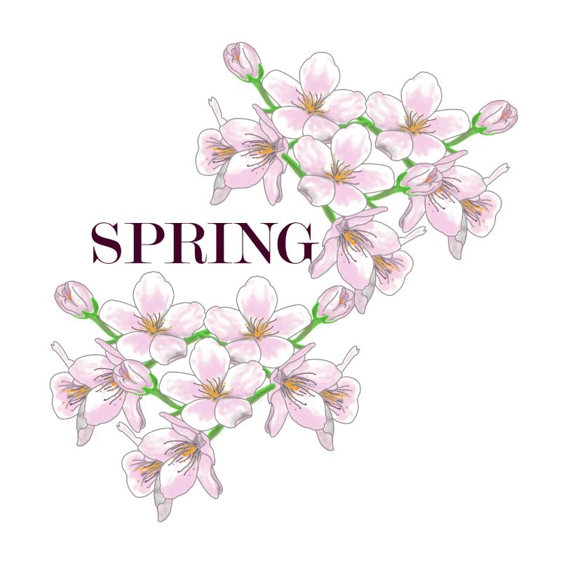Spring, spring