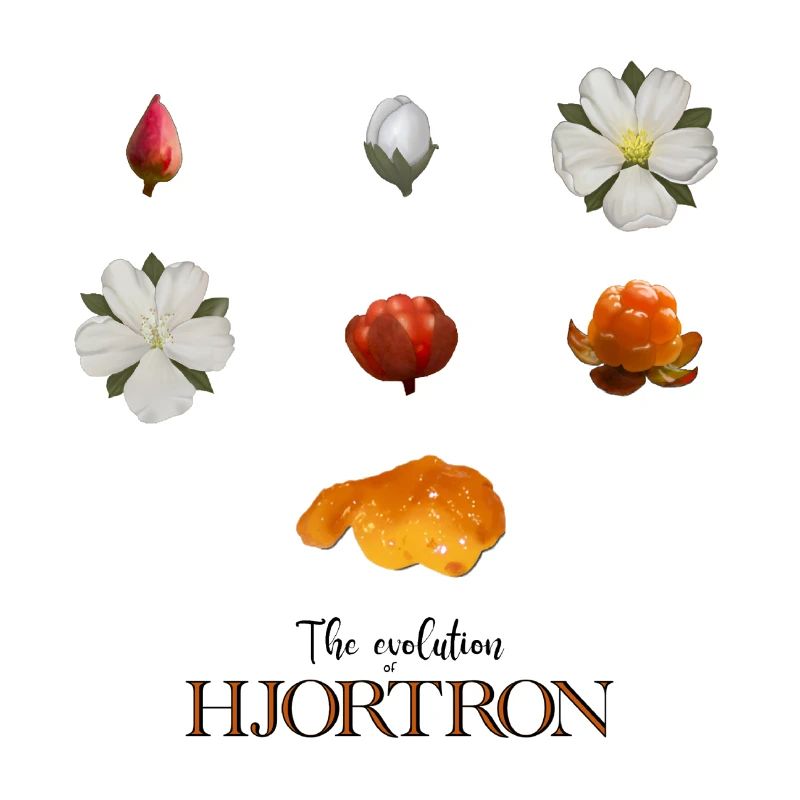 Die Evolution der Moltebeeren