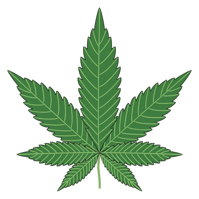 Cannabis Leaf