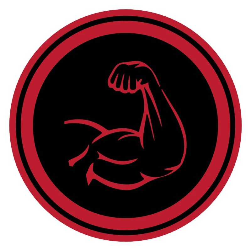 Muscles du bras biceps