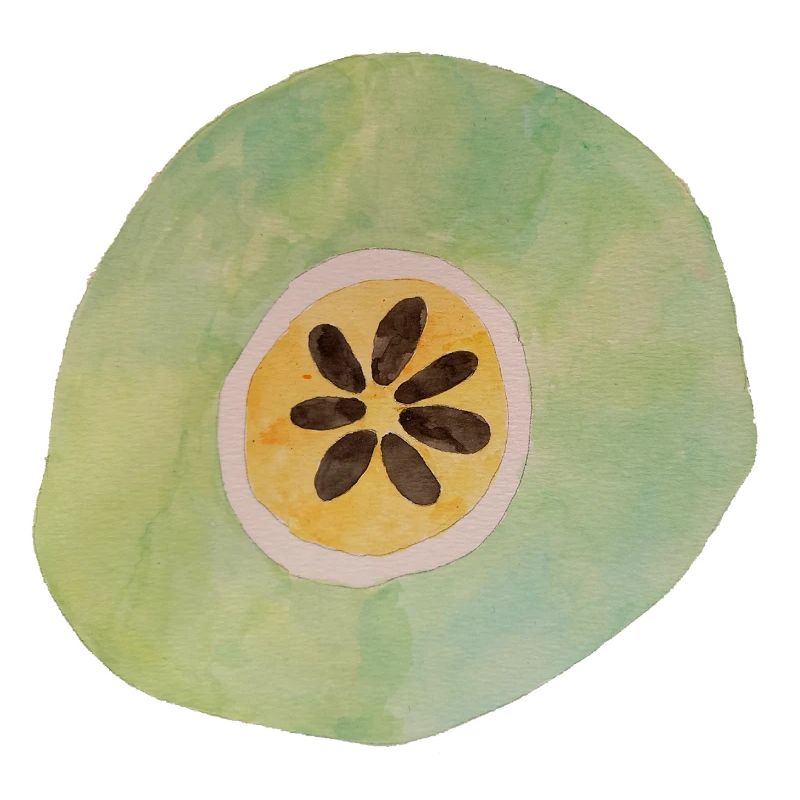 Fruit géant 1