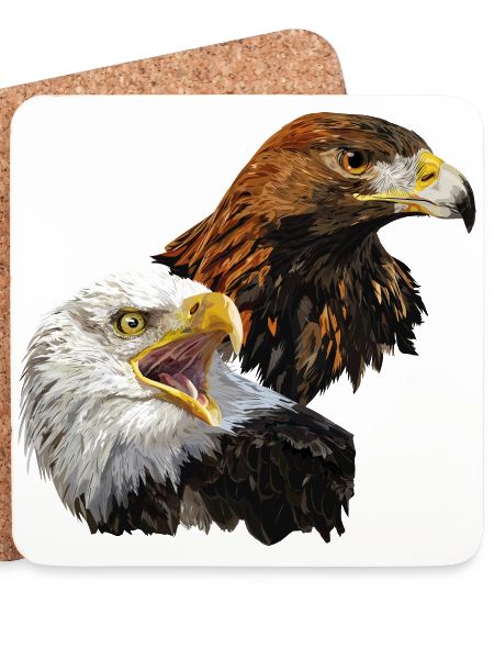 Weißkopfseeadler und Steinadler