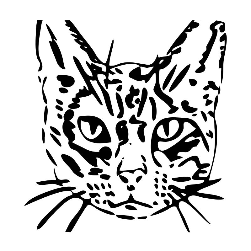 Cat, kitty, kitty, gift, gift idea