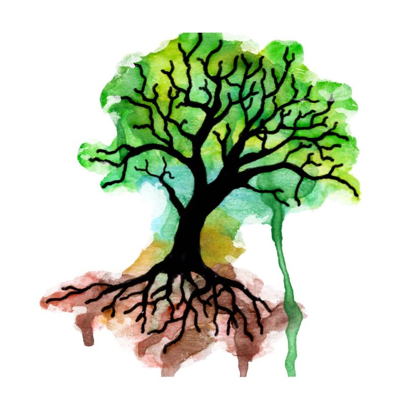 Baum