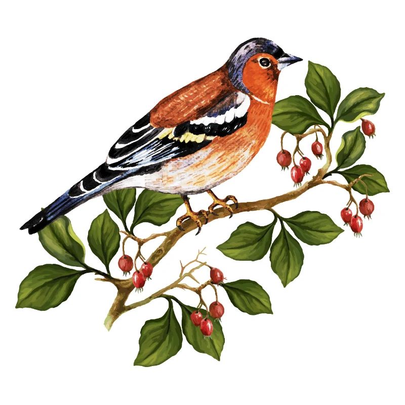 Bunter Vogel