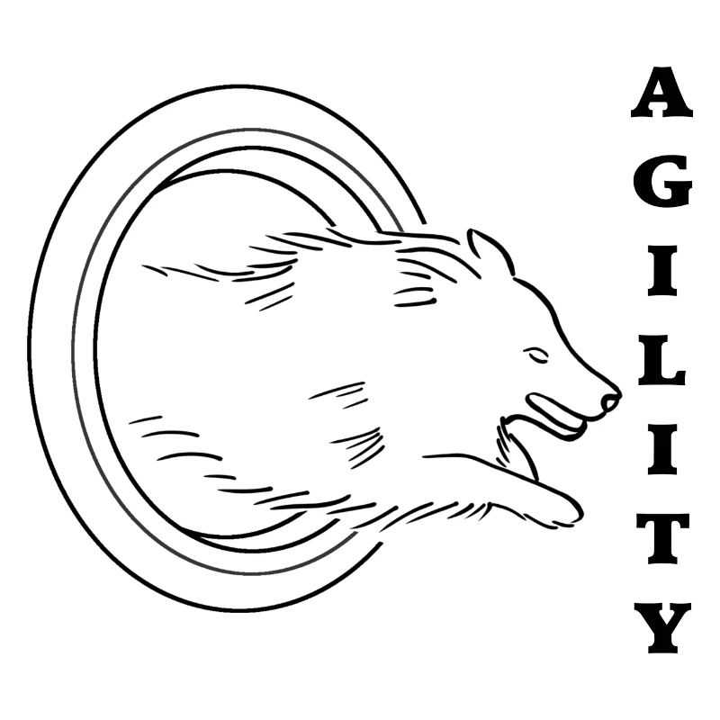 Agility Sheltie